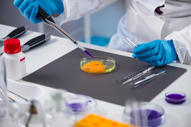 Beyond the Basics: Innovations in 2D Gel Electrophoresis