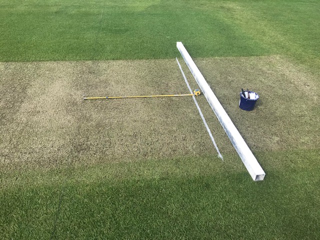 The Unseen Craft of the IPL: Preparing the Perfect Cricket Pitch