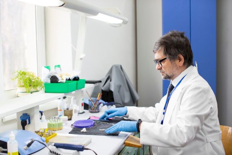 Elevate Your Research: Premier Biotech Dissertation Writing Services in Netherlands, Amsterdam
