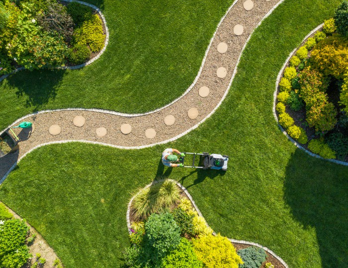 Seeking Expert Advice for Your Riyadh Landscape? Ask a Company!