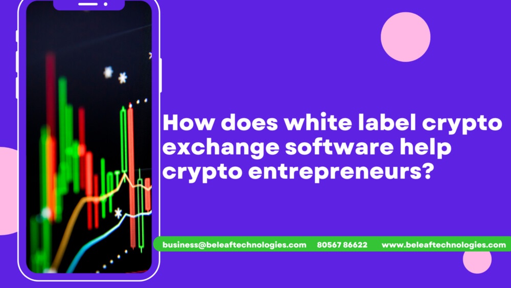 How does white label crypto exchange software help crypto entrepreneurs?