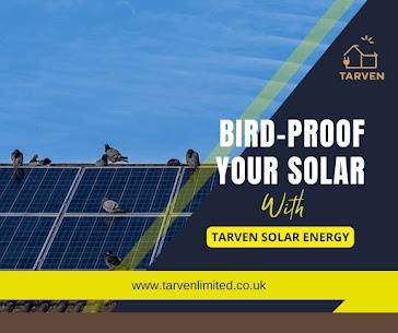 Protect Your Solar Panels: Discover Our Top Bird Proofing Solutions