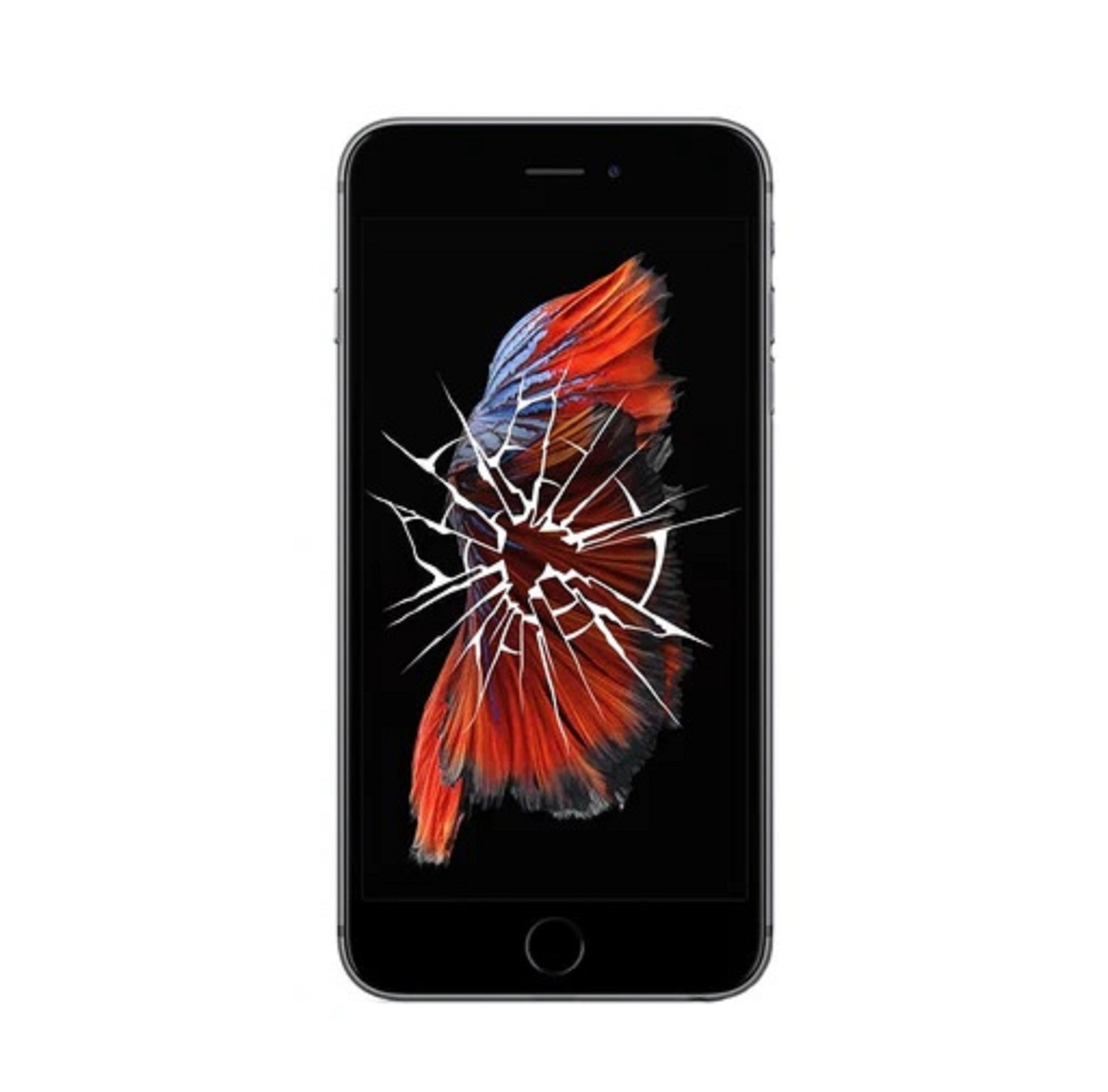 Easy Steps to DIY iPhone Screen Repair at Home