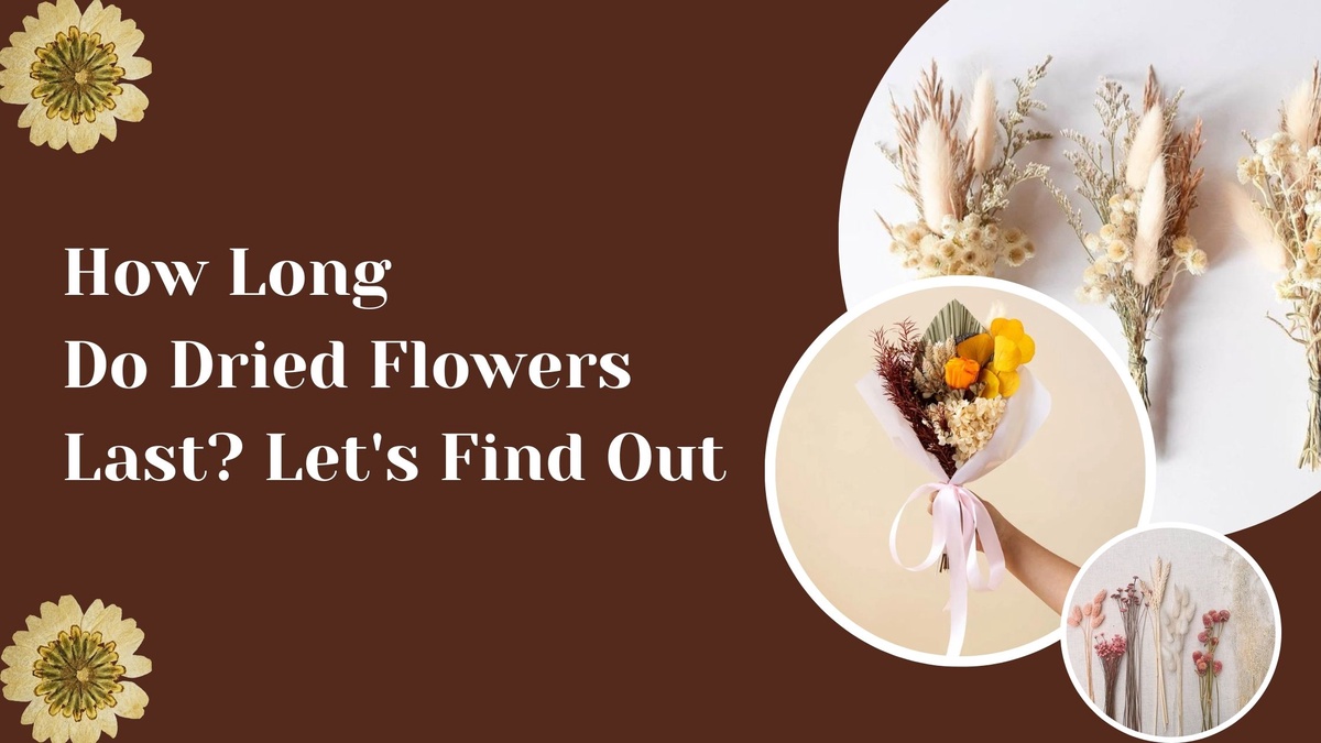 How Long Do Dried Flowers Last? Let's Find Out