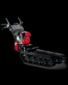 Explore the Versatility of Honda Power Carriers