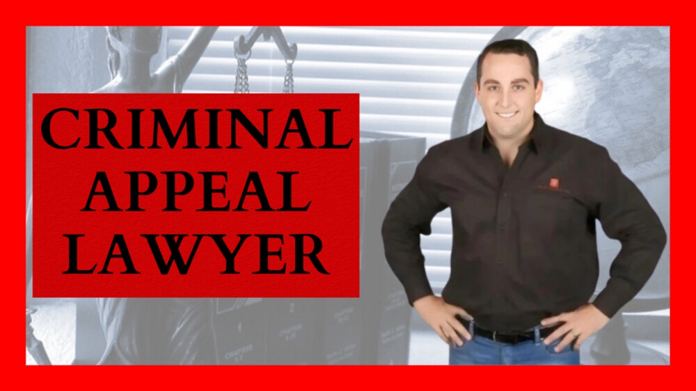 Navigating the Legal Maze: Steps to Hiring a Competent Criminal Appeal Lawyer