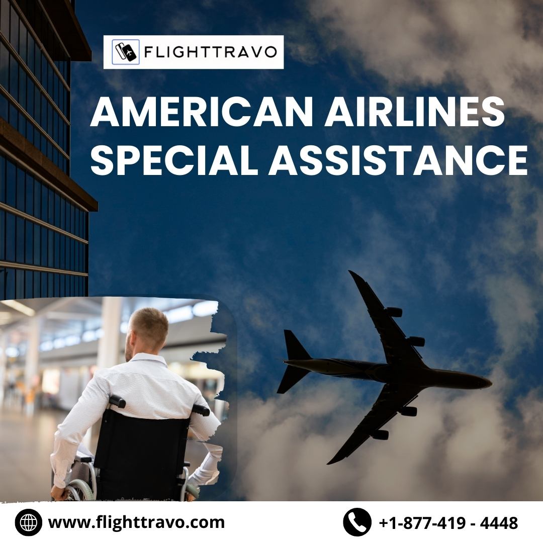 American Airlines Special Assistance Guide