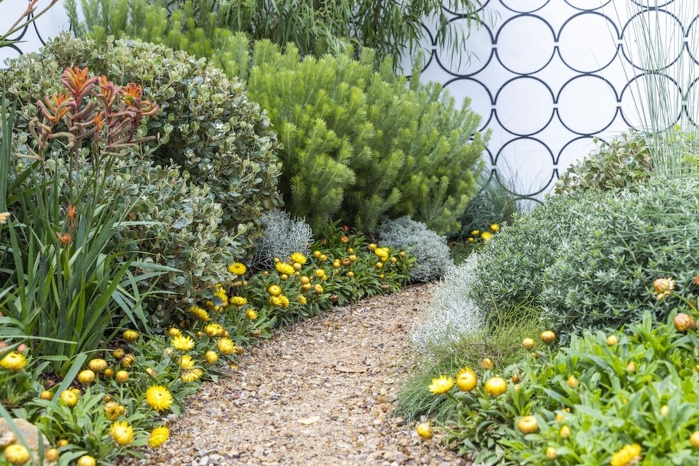 Exploring Australian Native Garden Ideas for Landscapers in Melbourne