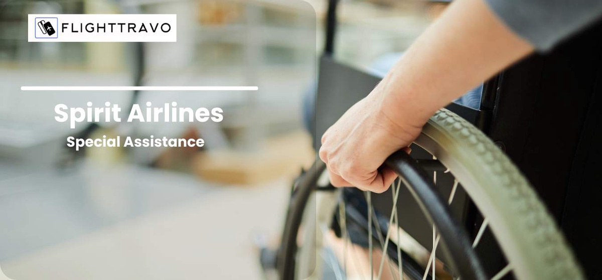 Spirit Airlines Special Assistance: Supporting Passengers Every Step of the Way