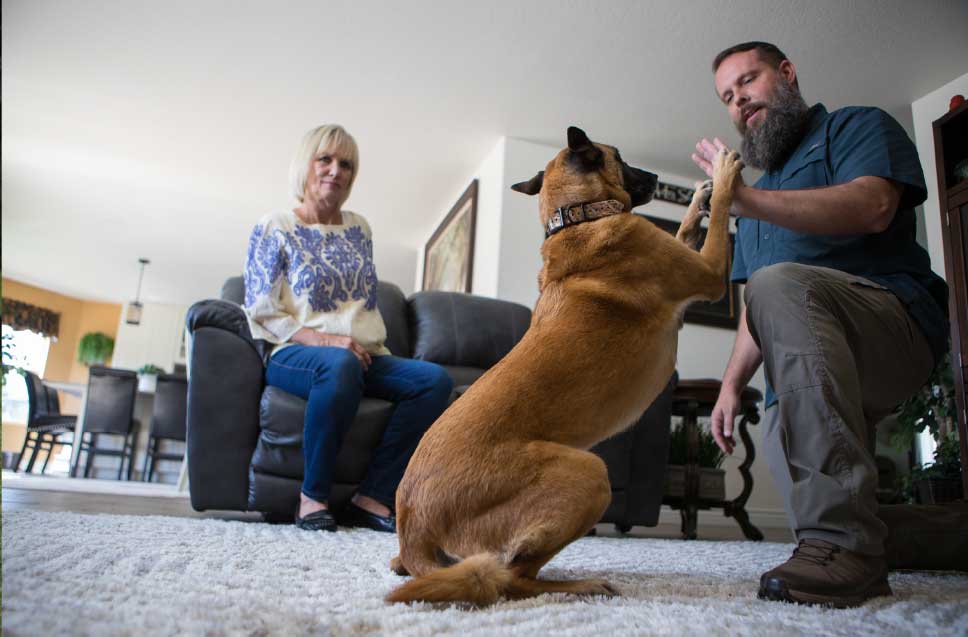 Multi-Dog Household? Affordable Training Solutions for Managing Multiple Pups