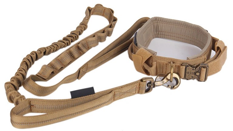 Evaluating Dog Leash Suppliers: Key Factors for a Perfect Fit