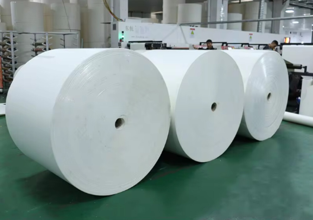 Reliable Paper Roll Supplier: Meeting Bulk Paper Requirements with Ease