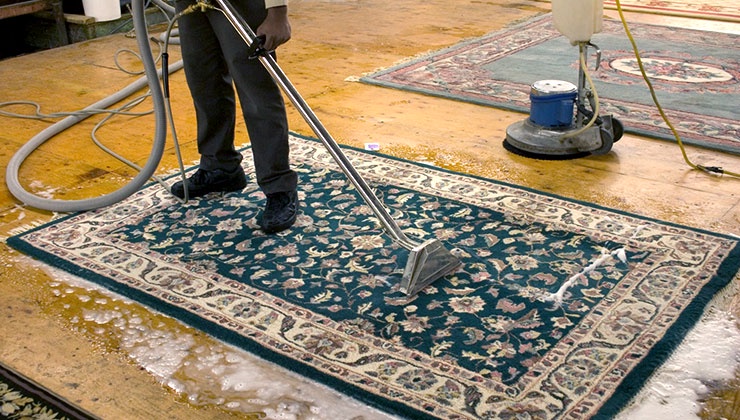 Choosing the Best Carpet Cleaning Service - What to Look For