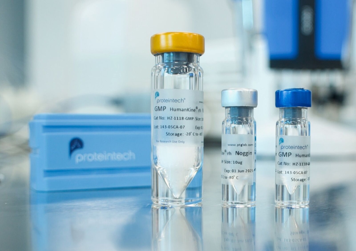 Research-grade Proteins: Insights into Cellular Signaling Pathways