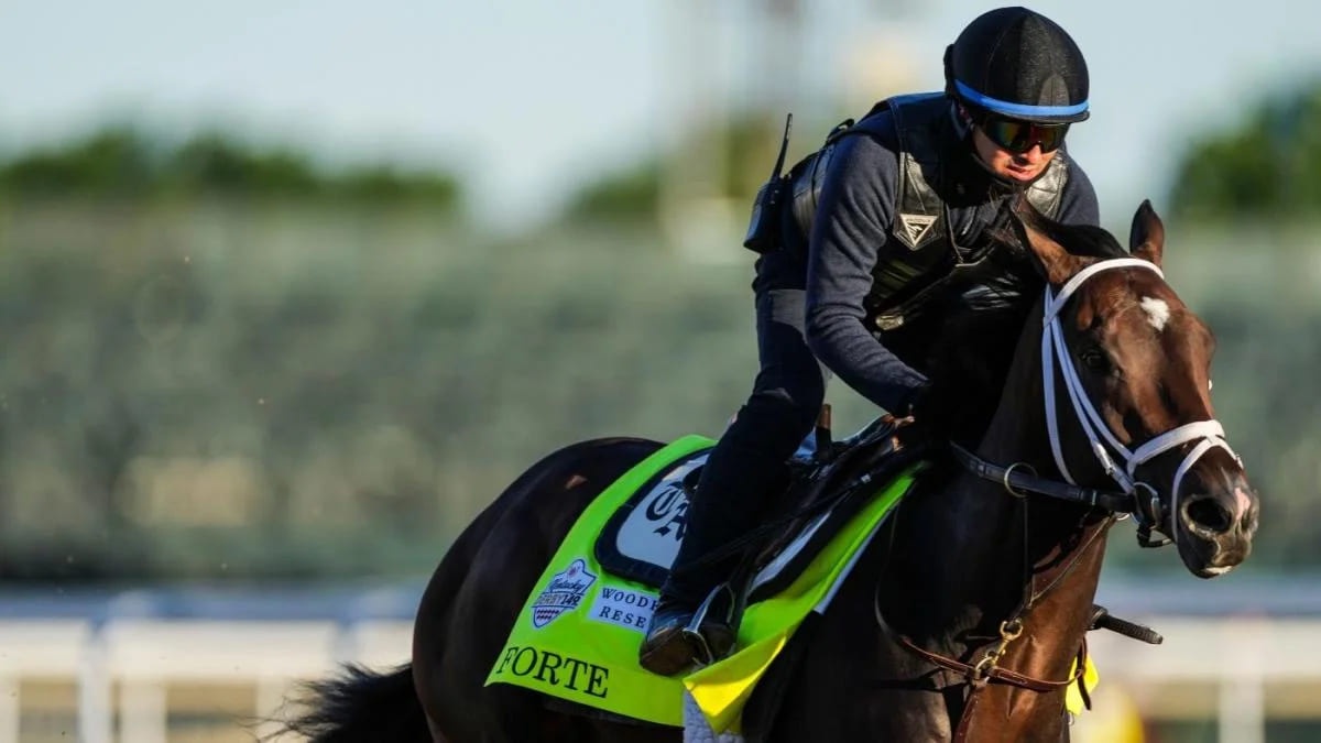 Queen Elizabeth Stakes Betting Strategies: Tips to Pick the Winners