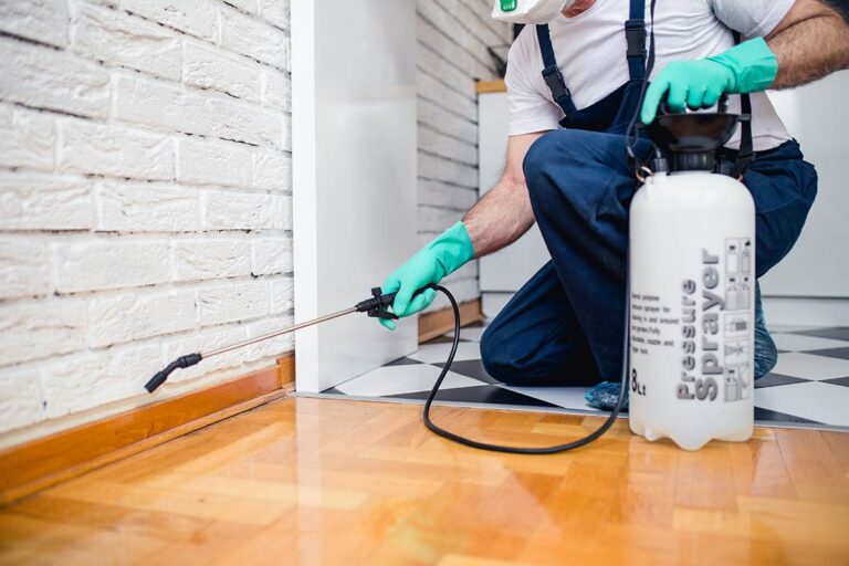 Best Reasons to Hire Professionals Pest Control Services