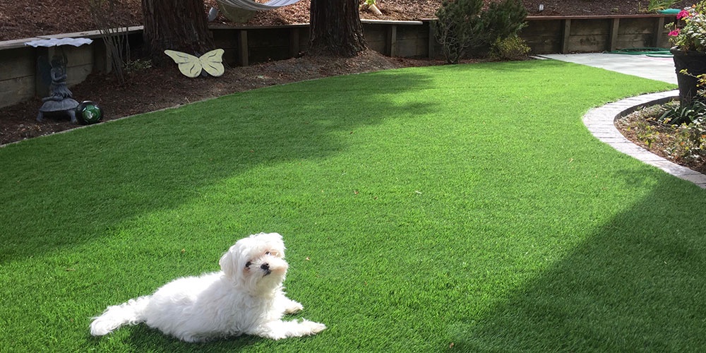 Factors To Consider When Buying Artificial Turf For Pets