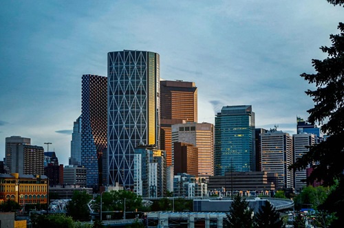 Finding the Perfect Real Estate Agent in Calgary: A Step-by-Step Guide