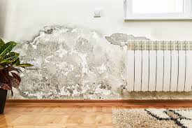 Wall Insulation for Warehouses and Factories