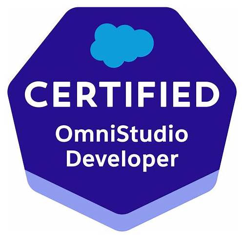 OmniStudio-Developer Latest Exam Simulator - Reliable OmniStudio-Developer Exam Practice