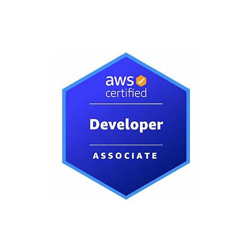2022 AWS-Developer過去問、AWS-Developer試験過去問 & AWS Certified Developer - Associate試験勉強書