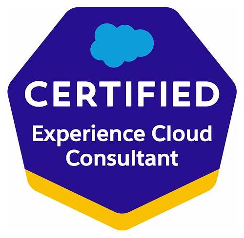 Experience-Cloud-Consultant Exam Test Book & Authoritative Latest Experience-Cloud-Consultant Test Practice Pass Success