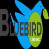 Bluebird Limo Inc