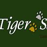 Tiger Safari Bandhavgarh