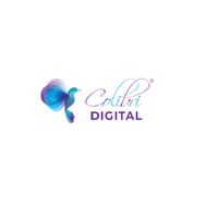 colibridigital