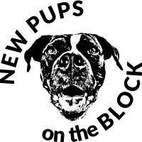 New Pups on the Block