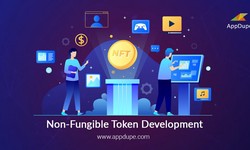 Launch NFT marketplace for sports for Spinning profits