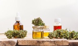 Guide on Getting Weed Dispensary in Lethbridge