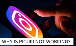 LET'S SEE WHY IS PICUKI NOT WORKING? [COMPLETE GUIDE]