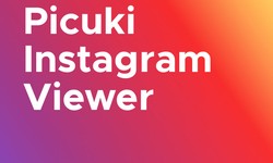 Picuki: Guide to Instagram Viewer and Editor