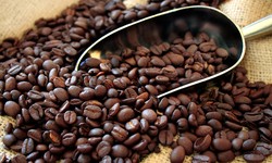 Why Will Every Coffee Connoisseur Prefer to Buy Best Coffee Beans Online?