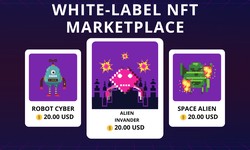 Create a White-label NFT Marketplace and Expand Your Business