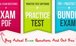 How do I get the DDP-FL exam questions?