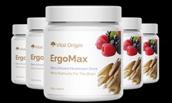 ErgoMax Longevity Brain Support Review: Brain networks to Support Superior Memory!