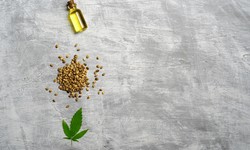 What Is CBD Hemp Oil, And Why Would You Want It?