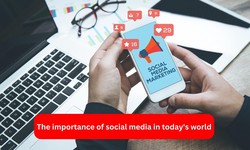 The importance of social media in today's world