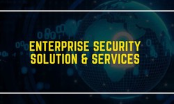 Enterprise Security Solutions & Services