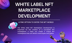 Why Approach White-label NFT Marketplace Development Company For Launching An NFT Marketplace?