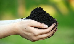 contaminated soil NZ