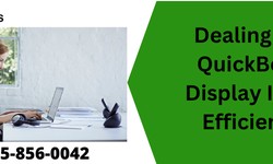 Dealing with QuickBooks Display Issues Efficiently
