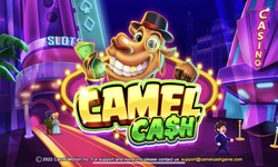 Check out this Crazy Camel Cash Casino—a Fun Social Casino Game
