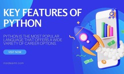 What distinguishing qualities best describe Python?