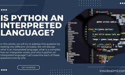 Do Python have interpreter skills and abilities?