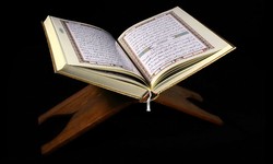 What to Look for in an Online Quran Teacher