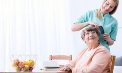 Numerous Advantages of Using a Home Care Agency