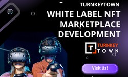 10 Compelling Reasons Why You Need White Label NFT Marketplace Development